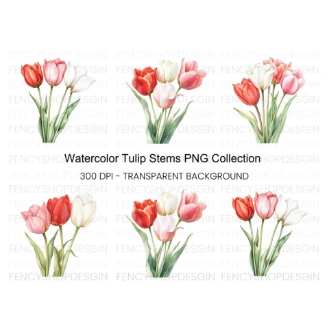 Elegant Pink and Red Tulip Clipart Bundle