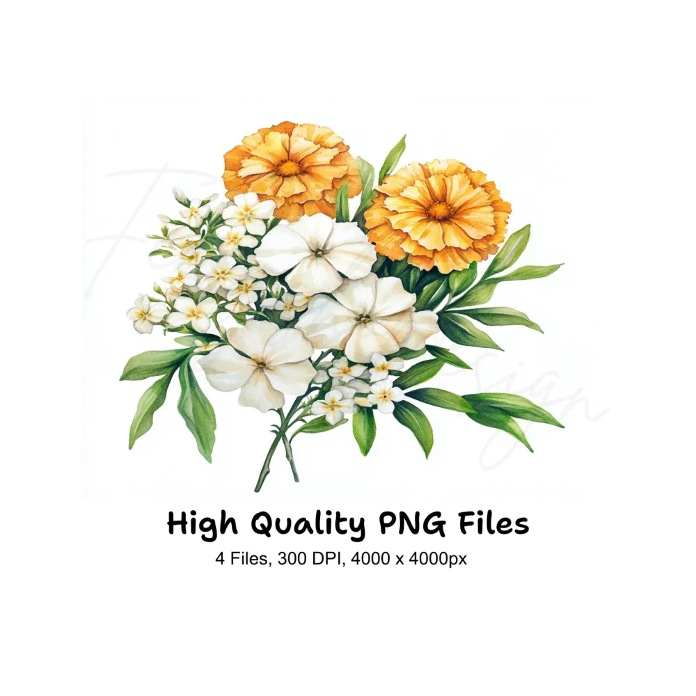 Orange and White Floral Clipart Bundle