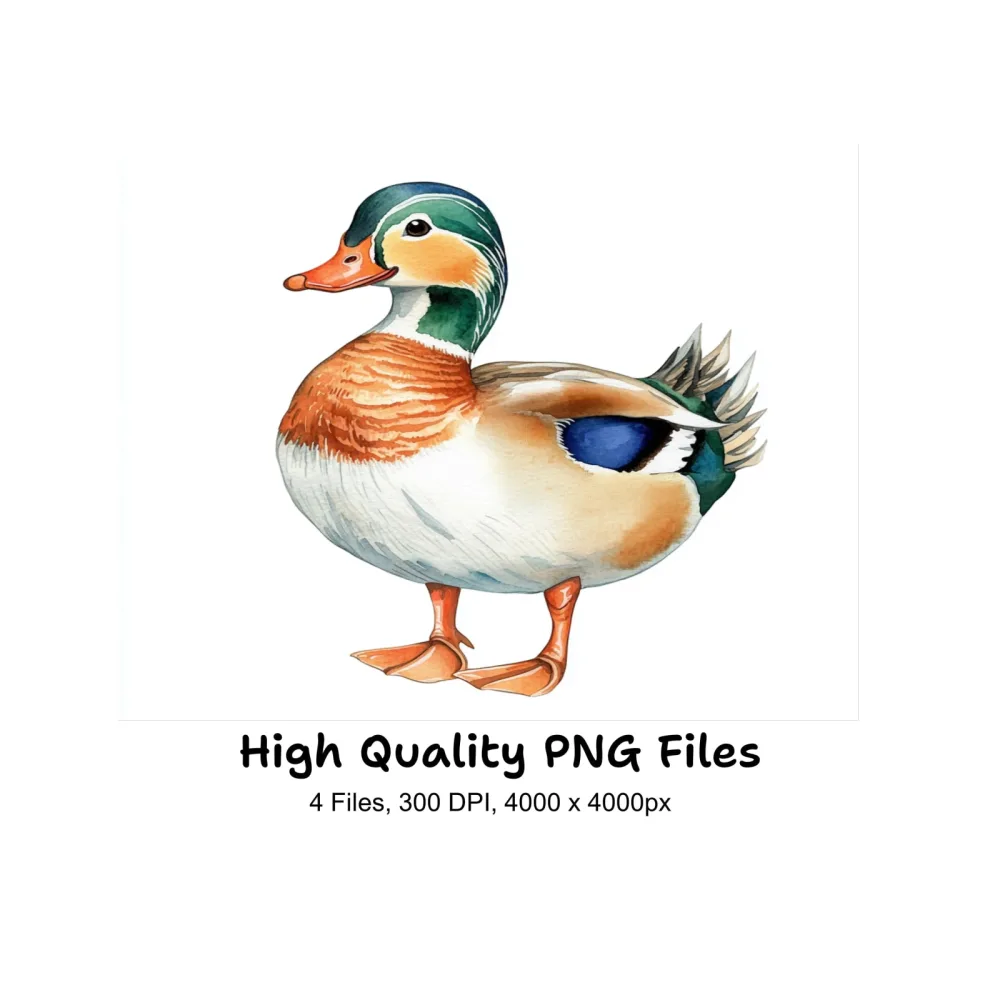 Colorful Mandarin Duck Clipart Bundle