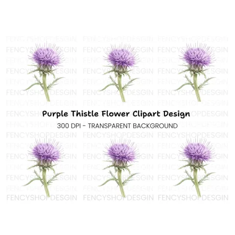 Thistle Plant Duo Clipart Bundle