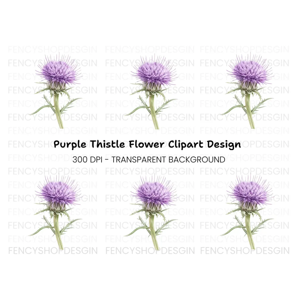 Thistle Plant Duo Clipart Bundle
