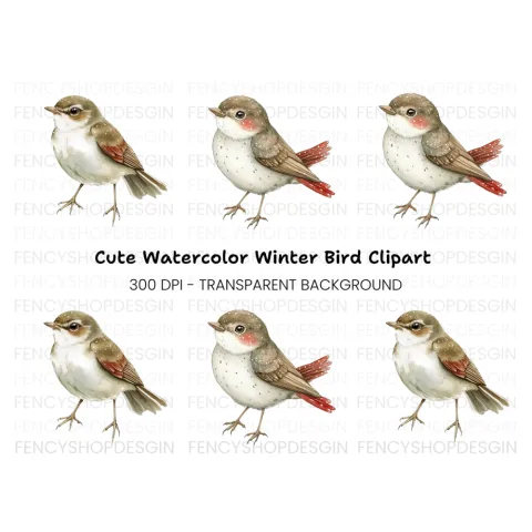 Charming Spotted Bird Clipart Bundle