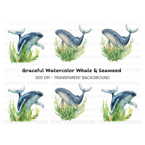 Humpback Whales in Seaweed Clipart Bundle