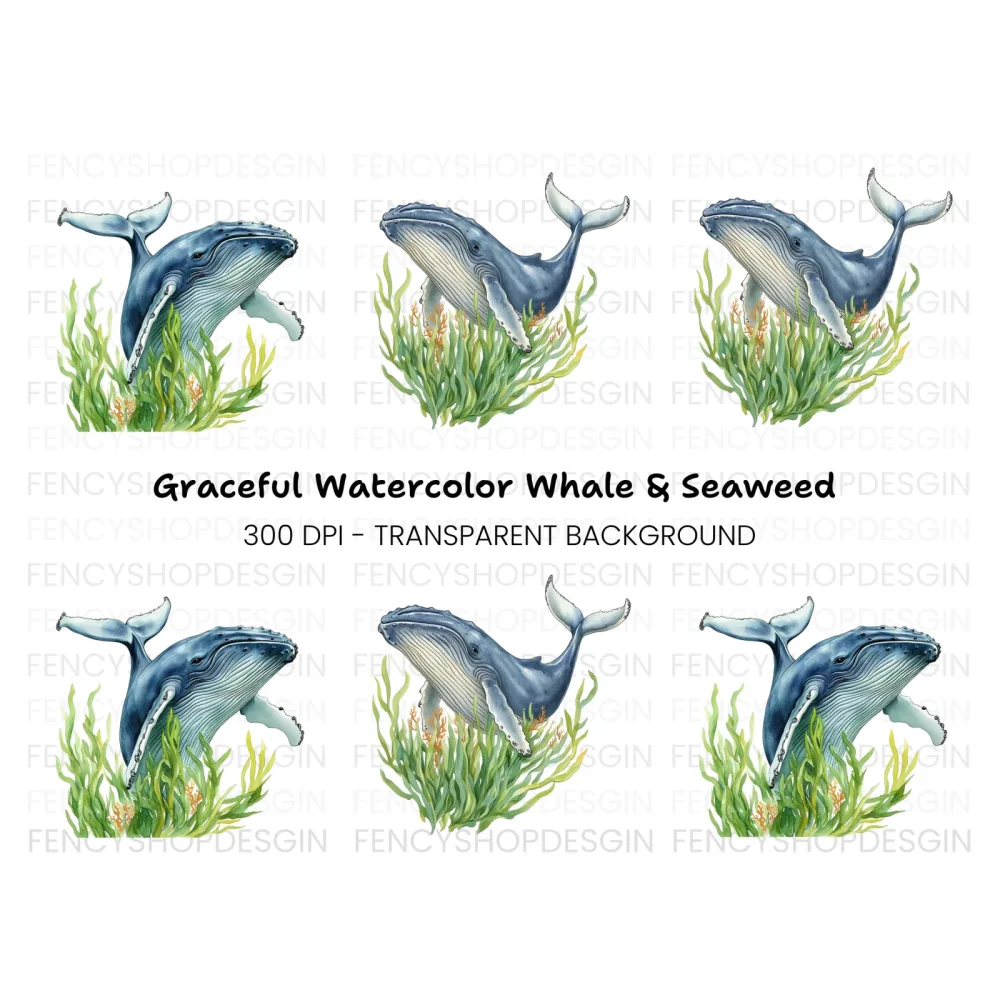 Humpback Whales in Seaweed Clipart Bundle