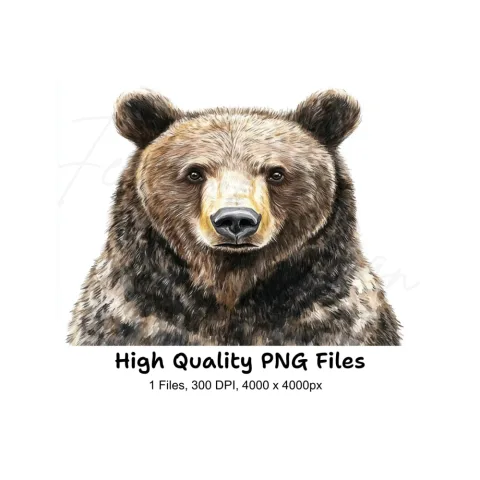 Realistic Brown Bear Head Clipart Bundle