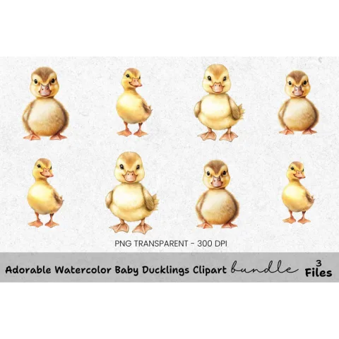 Adorable Baby Ducklings Clipart Bundle