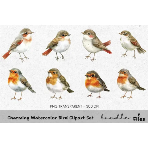 Charming Bird Clipart Bundle