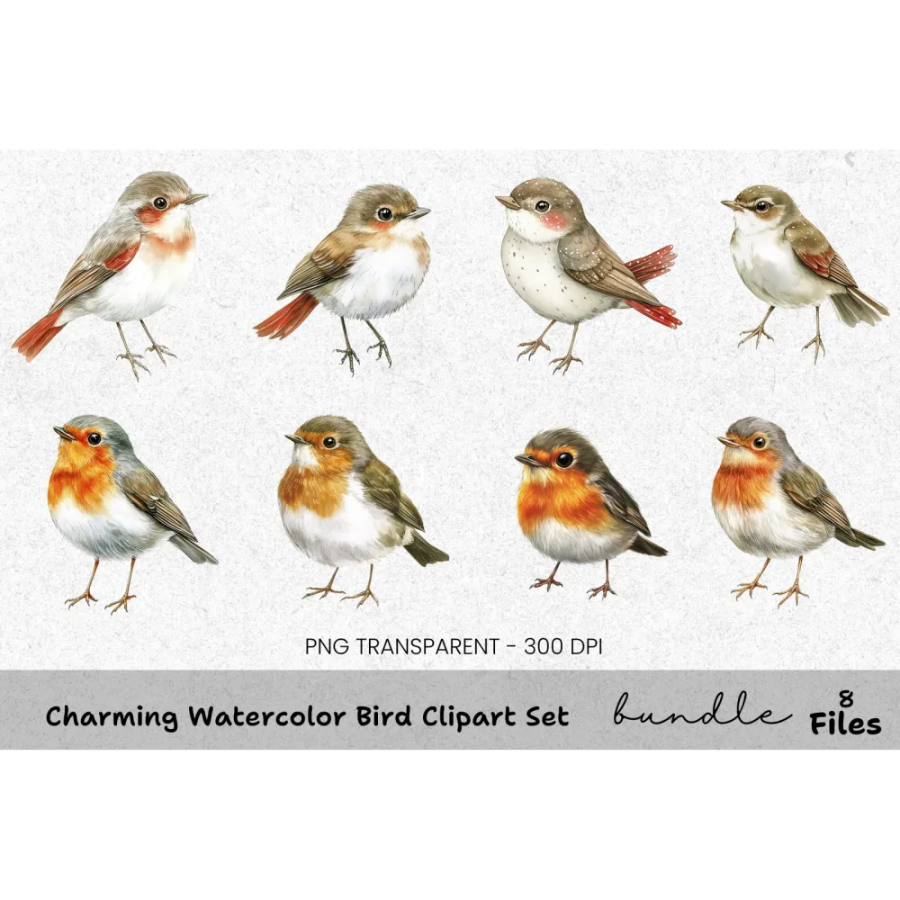 Charming Bird Clipart Bundle