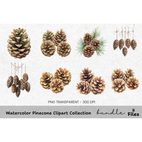 Pinecone Clipart Bundle