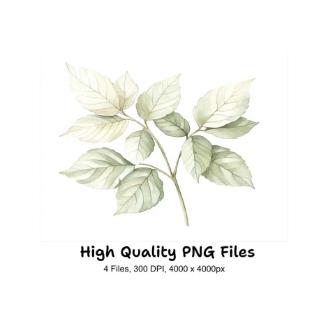 Green and White Leaves Clipart Bundle