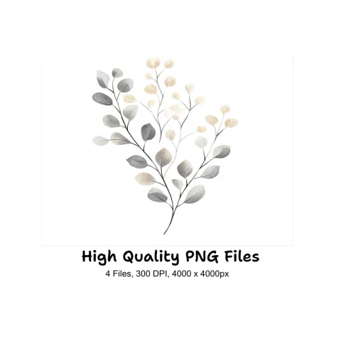 Eucalyptus Willow Clipart Bundle