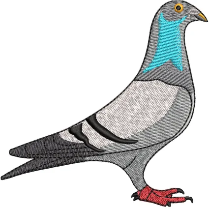 Pigeon Embroidery Design