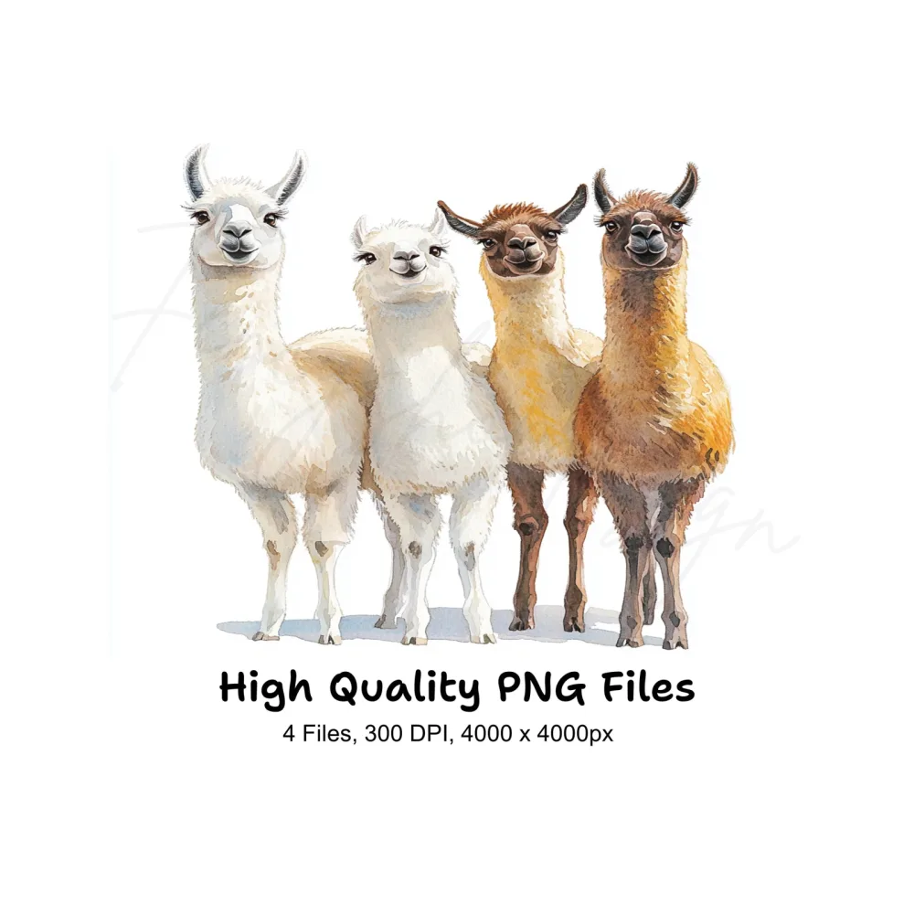 Diverse Llama Group Clipart Bundle