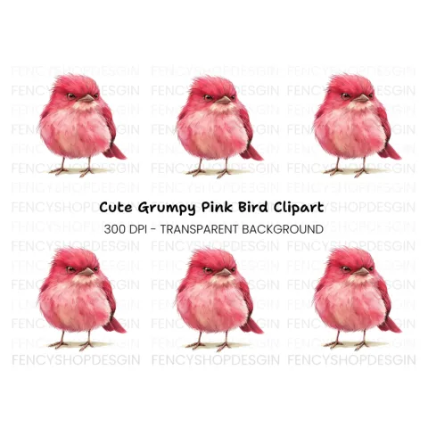 Cute Pink Bird Illustration Clipart Bundle