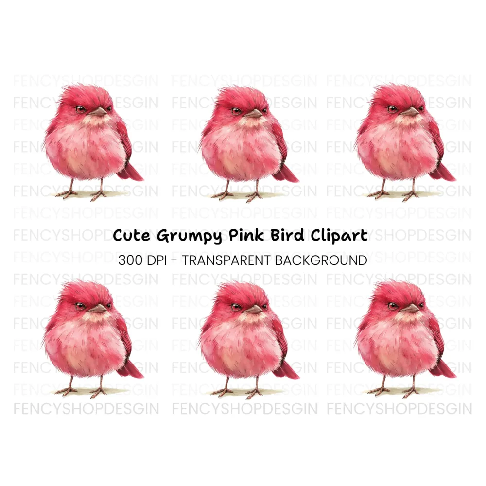Cute Pink Bird Illustration Clipart Bundle