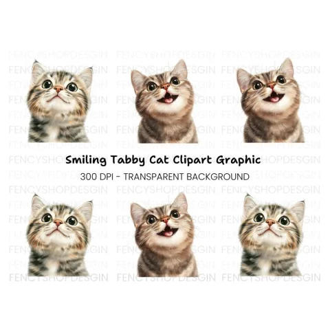 Cute Tabby Kitten Faces Clipart Bundle