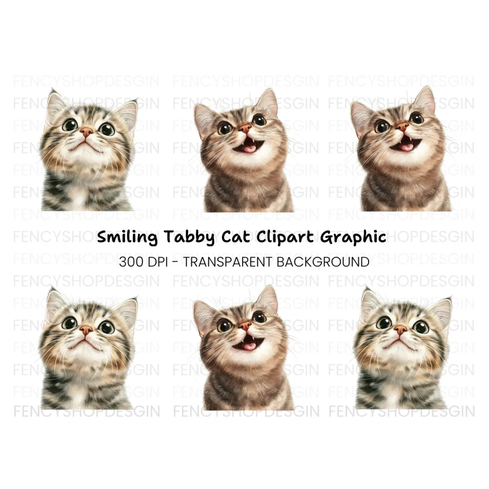 Cute Tabby Kitten Faces Clipart Bundle
