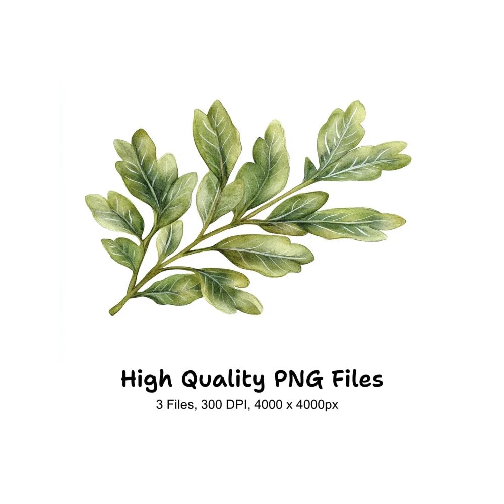 Green Leaves Clipart Bundle