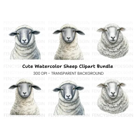 Grey Faced Sheep Clipart Bundle