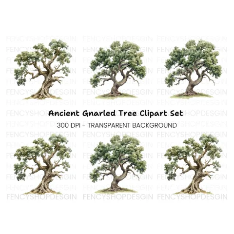 Ancient Oak Tree Clipart Bundle