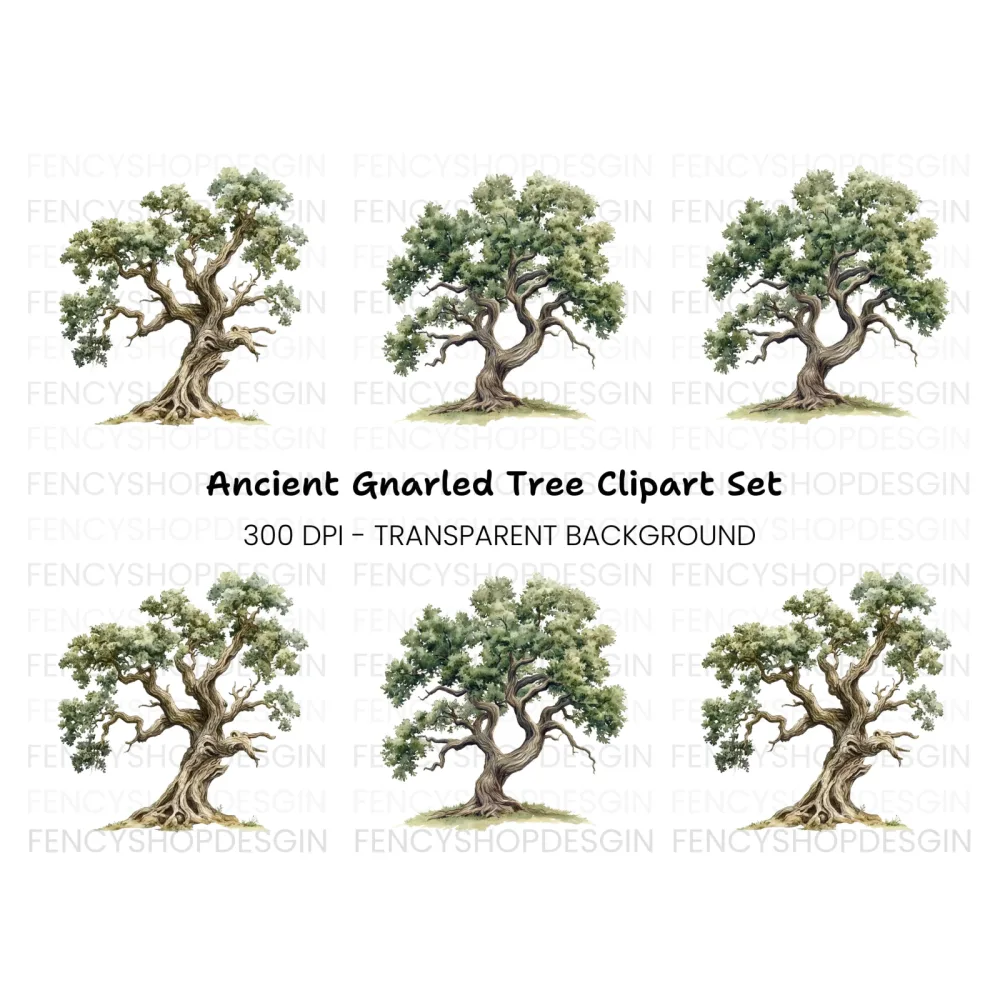 Ancient Oak Tree Clipart Bundle