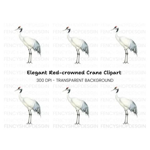 Elegant Red Crowned Crane Clipart Bundle