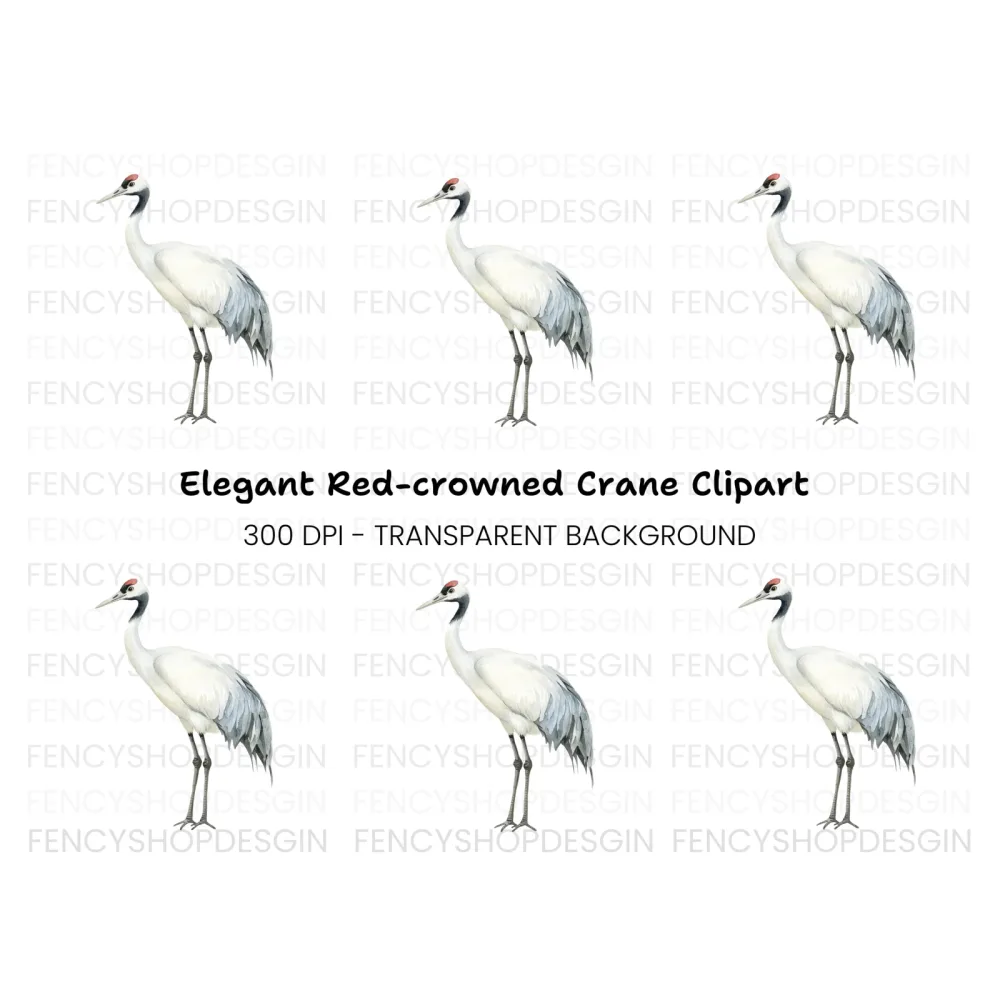 Elegant Red Crowned Crane Clipart Bundle