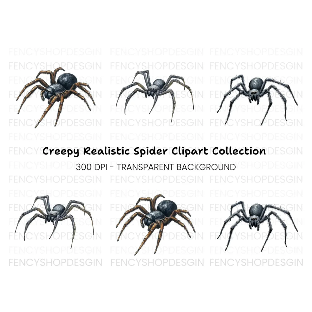 Realistic Spider Clipart Bundle