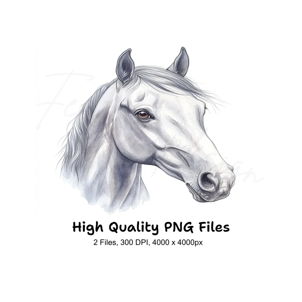 Beautiful White Horse Head Clipart Bundle