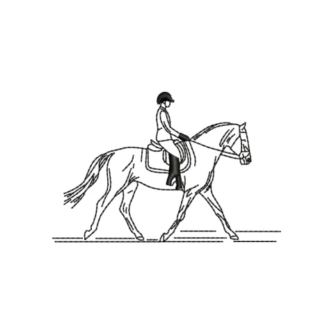 Horse Journey Embroidery Design