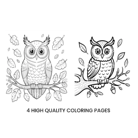 Cute Owl on Branch Coloring Books