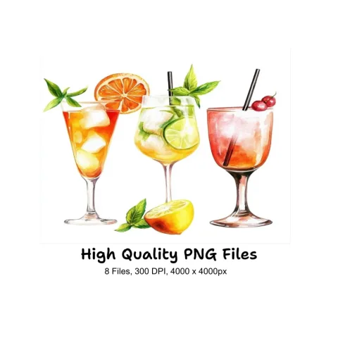 Summer Cocktail Clipart Bundle