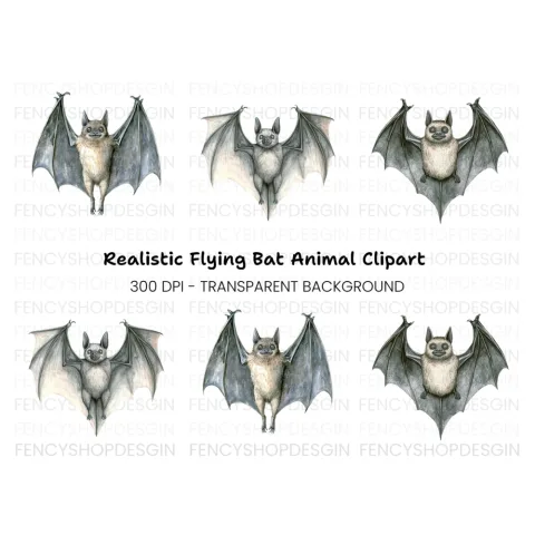 Cute Bat Clipart Bundle