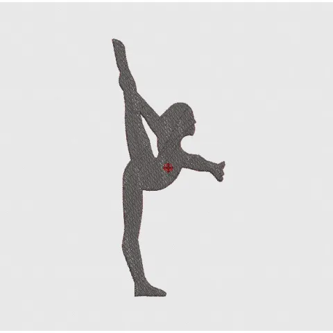 Jamnatic Embroidery Design