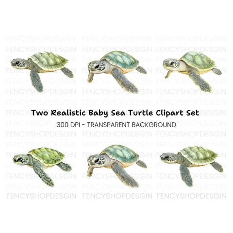 Three Baby Sea Turtles Clipart Bundle