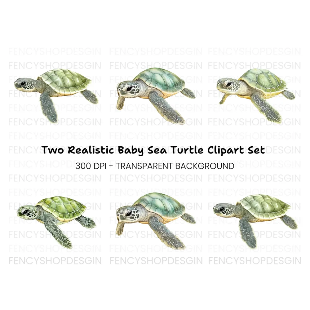Three Baby Sea Turtles Clipart Bundle