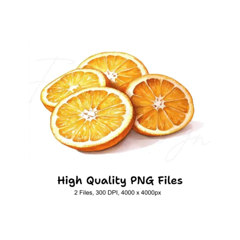 Fresh Orange Slices Clipart Bundle