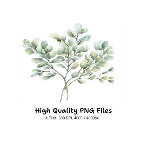 Eucalyptus Leaves Clipart Bundle