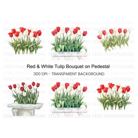 Vibrant Red and White Tulip Clipart Bundle