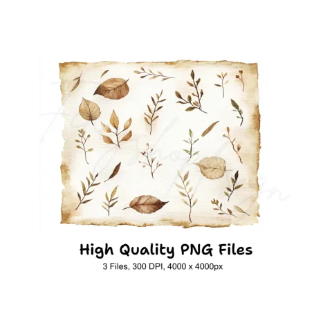 Autumn Leaves Clipart Bundle