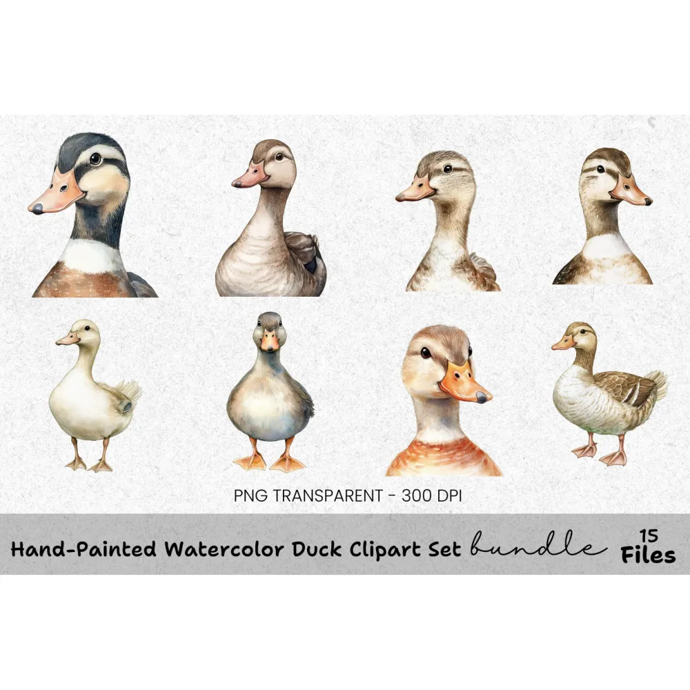 Hand Painted Duck Clipart Bundle