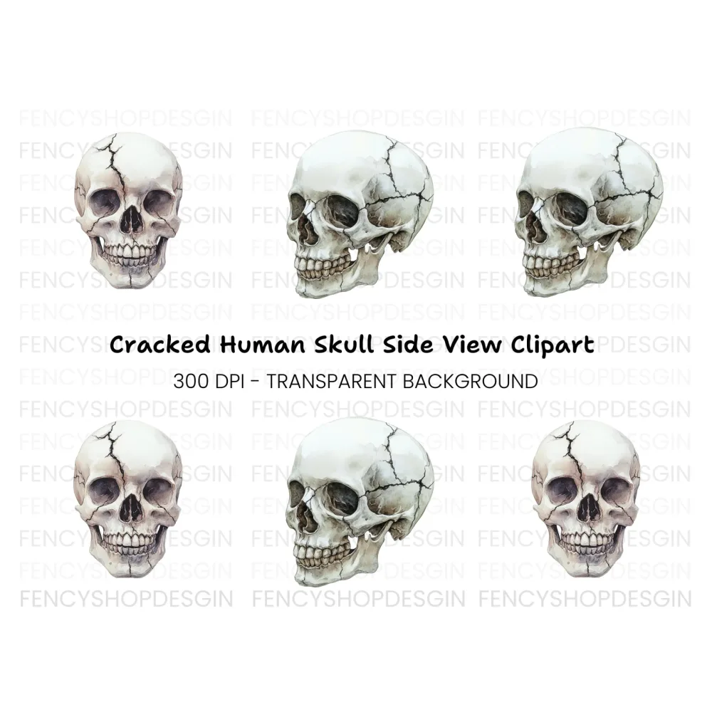 Cracked Skull Side View Clipart Bundle