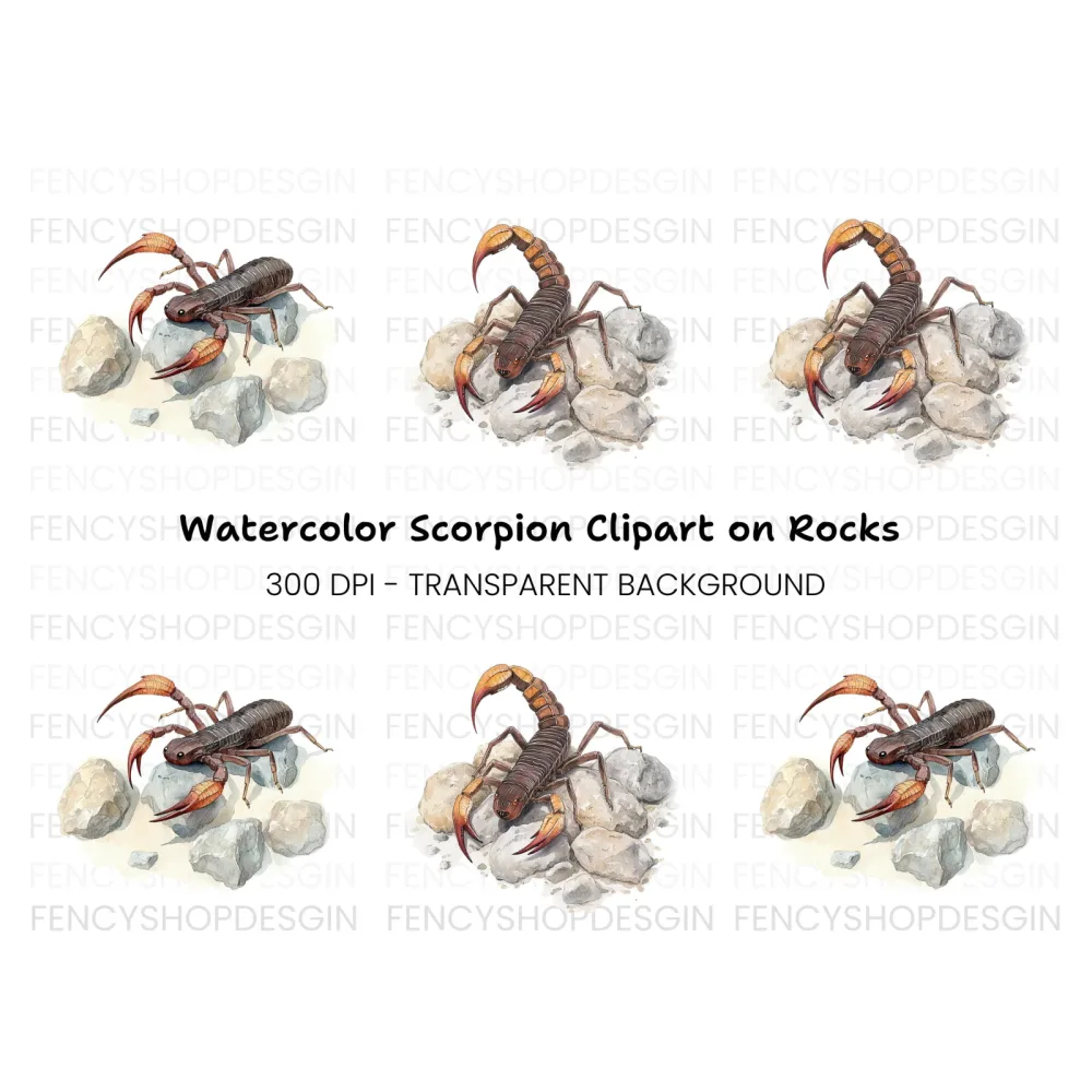 Scorpion on Rocks Clipart Bundle