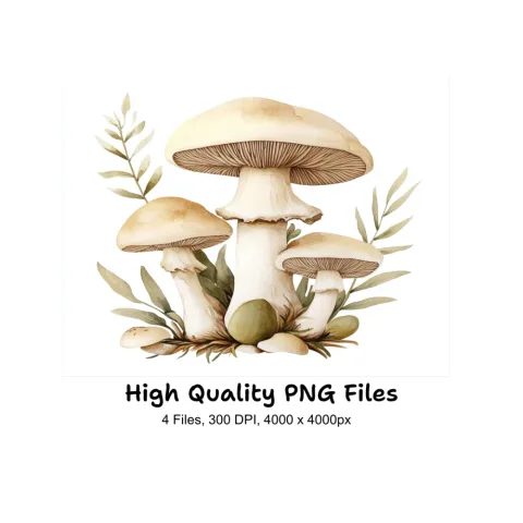 Mushroom Clipart Bundle