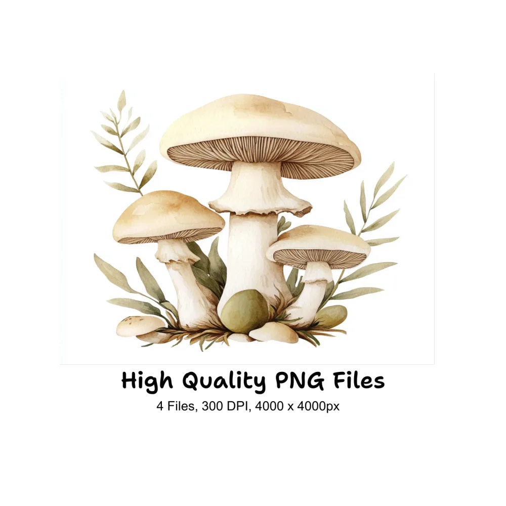 Mushroom Clipart Bundle
