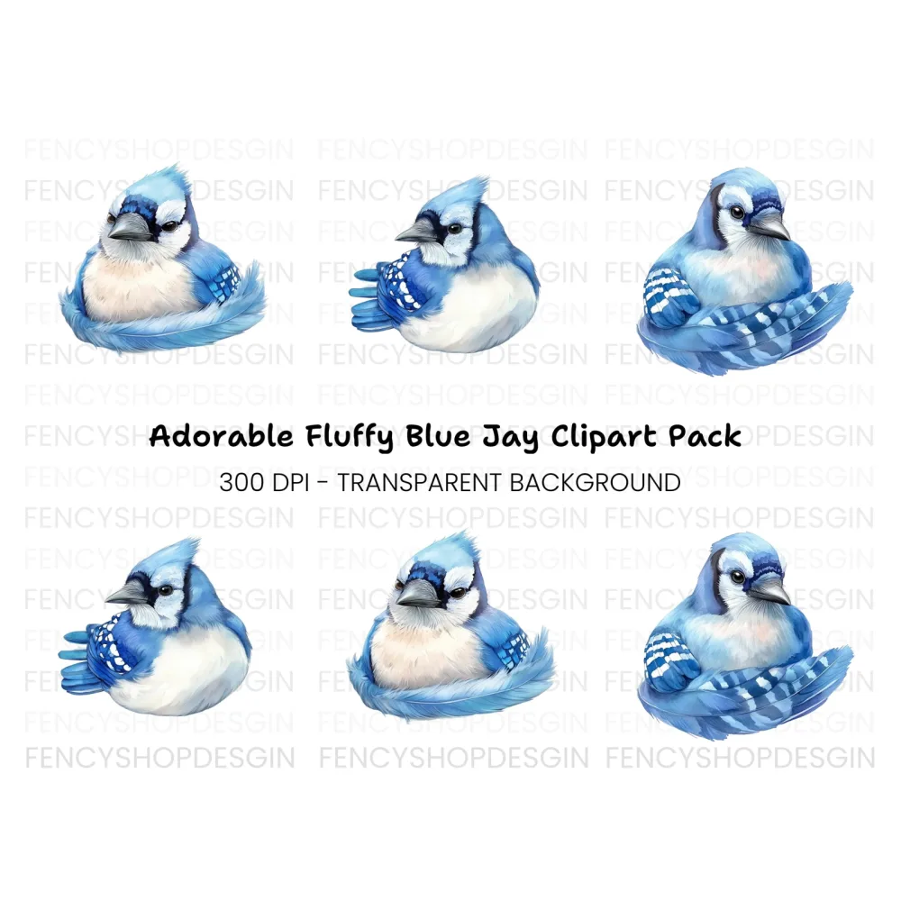 Cute Blue Jay Bird Clipart Bundle