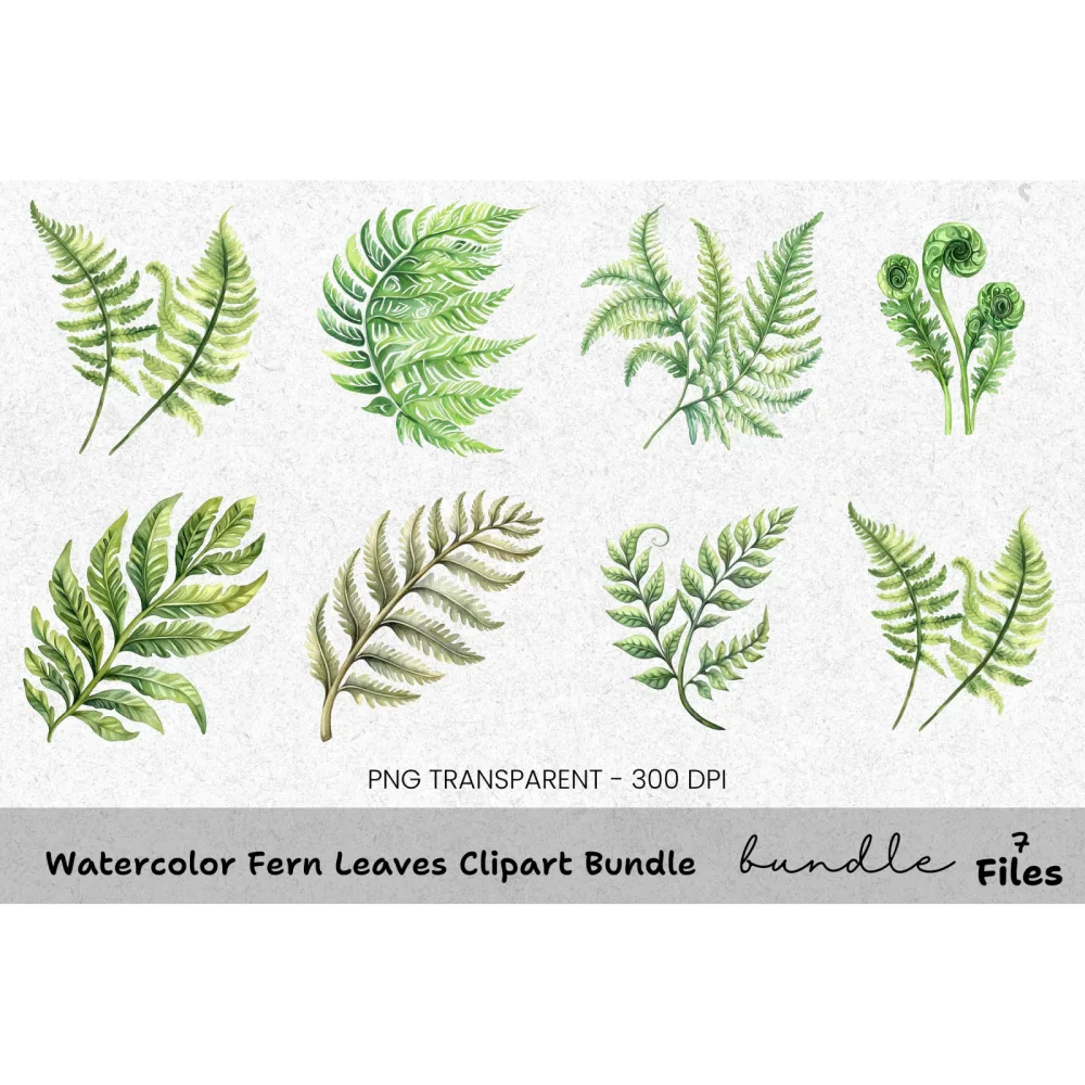 Fern Leaves Clipart Bundle