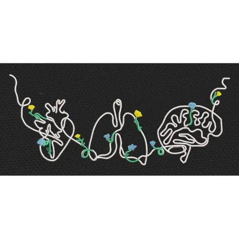 Liver Light Lines Art Embroidery Design