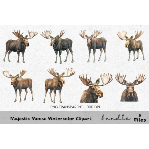 Majestic Moose Clipart Bundle