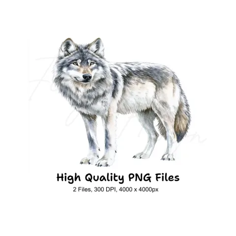 Majestic Gray Wolf Clipart Bundle